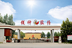鎂神簡(jiǎn)介